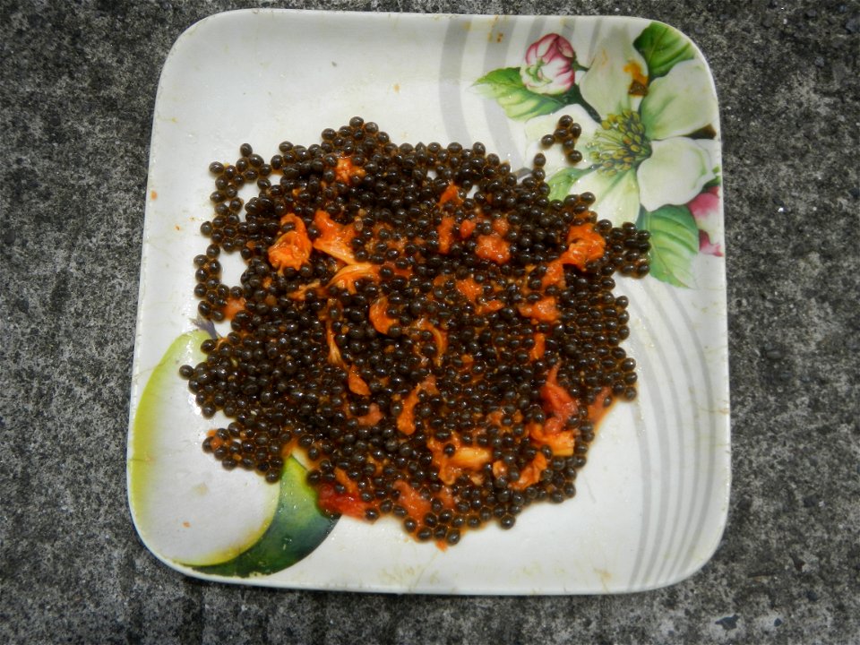 Kaldereta Pancit Carica papaya Mochi Calamansi fruits Savory Classic product Pancit canton McDonald's products in the Philippines (Note: Judge Florentino Floro, the owner, to repeat, Donor Florentino 