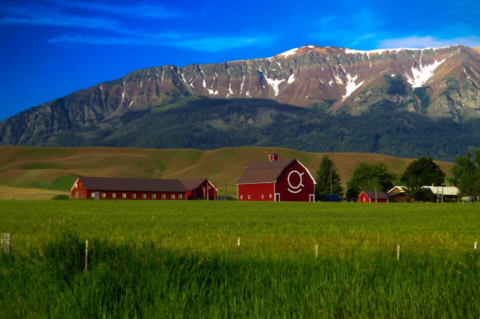 Rural architecture field