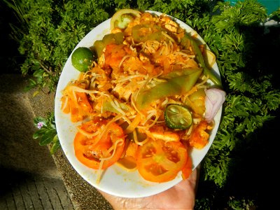 Sautéed sponge gourd and carica papaya with Jiangnan style noodle and annatto Ginisang Papaya  List of Philippine dishes  Sautéing  Sau Tao Sau Tao Jiangnan Style Noodles (Original Flavour) & XO s