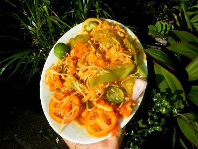Sautéed sponge gourd and carica papaya with Jiangnan style noodle and annatto Ginisang Papaya  List of Philippine dishes  Sautéing  Sau Tao Sau Tao Jiangnan Style Noodles (Original Flavour) & XO s