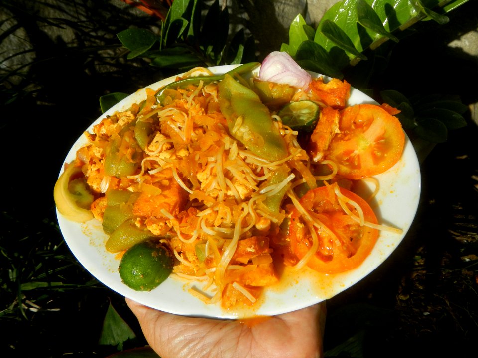 Sautéed sponge gourd and carica papaya with Jiangnan style noodle and annatto Ginisang Papaya  List of Philippine dishes  Sautéing  Sau Tao Sau Tao Jiangnan Style Noodles (Original Flavour) & XO s