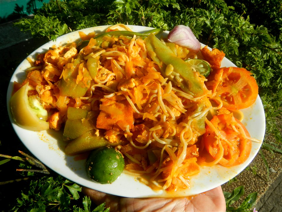 Sautéed sponge gourd and carica papaya with Jiangnan style noodle and annatto Ginisang Papaya  List of Philippine dishes  Sautéing  Sau Tao Sau Tao Jiangnan Style Noodles (Original Flavour) & XO s