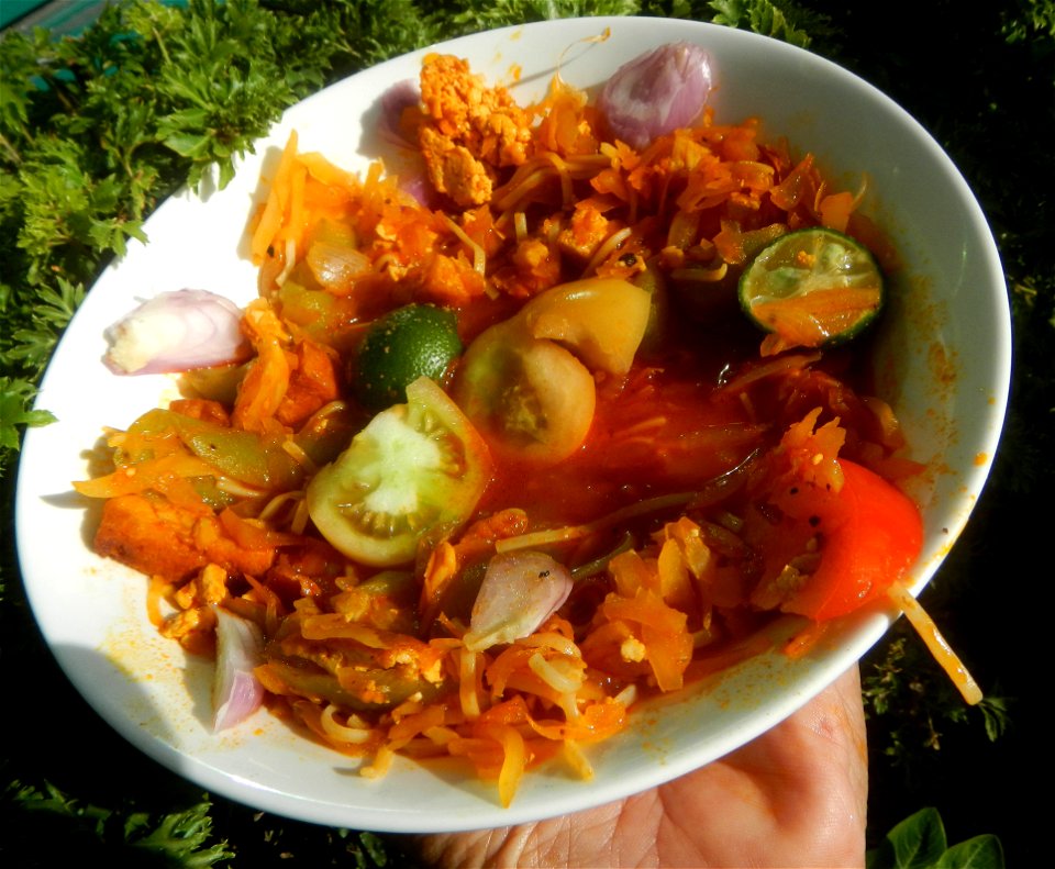 Sautéed sponge gourd and carica papaya with Jiangnan style noodle and annatto Ginisang Papaya  List of Philippine dishes  Sautéing  Sau Tao Sau Tao Jiangnan Style Noodles (Original Flavour) & XO s