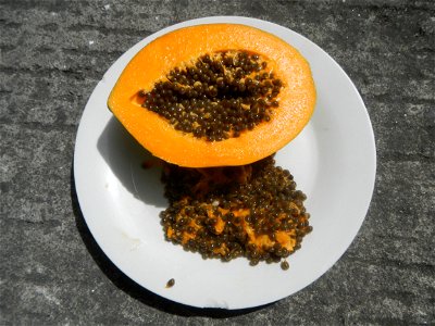 Carica papaya seeds