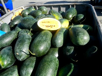 Watermelons in the Philippines Carica papaya during the COVID-19 pandemic in Baliuag, Bulacan Timeline of the 2020 coronavirus pandemic in the Philippines  2020 coronavirus pandemic in the Philippines