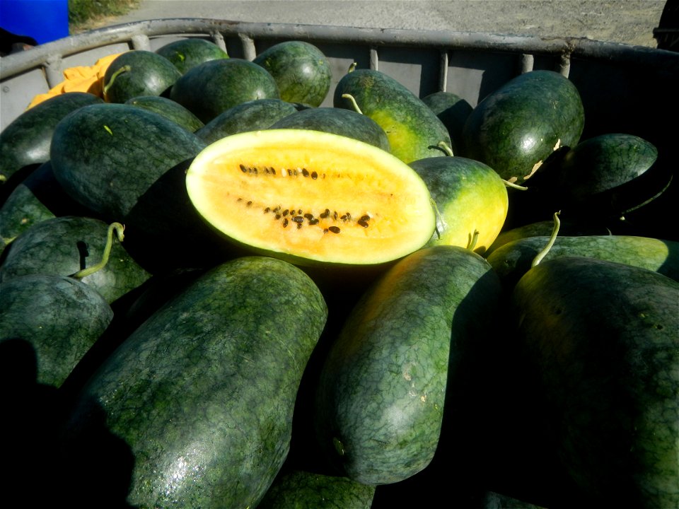 Watermelons in the Philippines Carica papaya during the COVID-19 pandemic in Baliuag, Bulacan Timeline of the 2020 coronavirus pandemic in the Philippines  2020 coronavirus pandemic in the Philippines