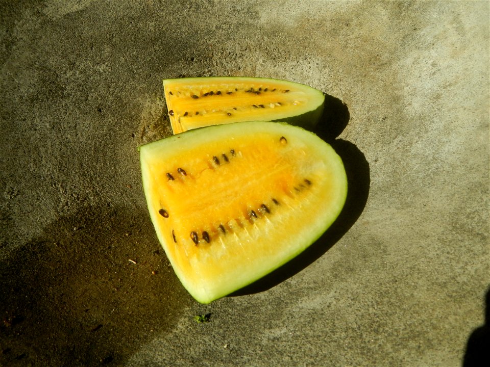 Watermelons in the Philippines Carica papaya during the COVID-19 pandemic in Baliuag, Bulacan Timeline of the 2020 coronavirus pandemic in the Philippines  2020 coronavirus pandemic in the Philippines