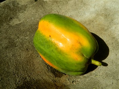 Watermelons in the Philippines Carica papaya during the COVID-19 pandemic in Baliuag, Bulacan Timeline of the 2020 coronavirus pandemic in the Philippines  2020 coronavirus pandemic in the Philippines