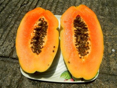 Cuisine foods and flowers of Bulacan (Note: Judge Florentino Floro, the owner, to repeat, Donor Florentino Floro of all these photos hereby donate gratuitously, freely and unconditionally Judge Floro 