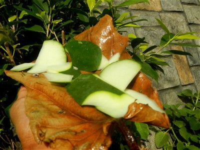 Carica papaya in the Philippines peeling and seeds in Poblacion, Baliuag during Timeline of the 2020 coronavirus pandemic in the Philippines  2020 coronavirus pandemic in the Philippines Bayanihan to 