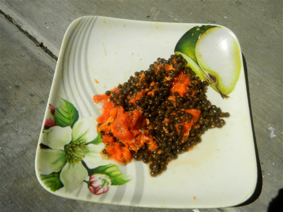 Pineapple textures Nuestra Señora del Carmen RRCG Transport Dela Rosa Transit Jollibee products Carica papaya Salt (Note: Judge Florentino Floro, the owner, to repeat, Donor Florentino Floro of all th