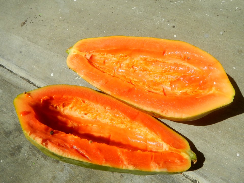Pineapple textures Nuestra Señora del Carmen RRCG Transport Dela Rosa Transit Jollibee products Carica papaya Salt (Note: Judge Florentino Floro, the owner, to repeat, Donor Florentino Floro of all th