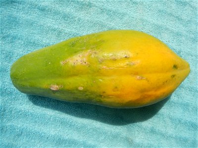 Chrysophyllum cainito (fruit) Saba banana Carica papaya in the Philippines Carabao (mango) taken in Barangay Poblacion 14°57'17"N 120°54'2"E Baliuag, Bulacan, Bulacan province (Note: Judge Florentino 