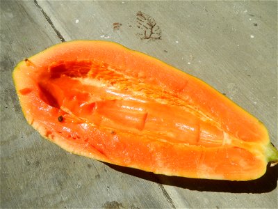 Pineapple textures Nuestra Señora del Carmen RRCG Transport Dela Rosa Transit Jollibee products Carica papaya Salt (Note: Judge Florentino Floro, the owner, to repeat, Donor Florentino Floro of all th