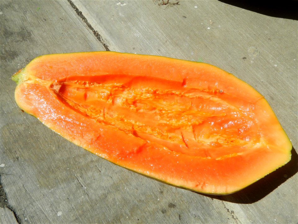 Pineapple textures Nuestra Señora del Carmen RRCG Transport Dela Rosa Transit Jollibee products Carica papaya Salt (Note: Judge Florentino Floro, the owner, to repeat, Donor Florentino Floro of all th