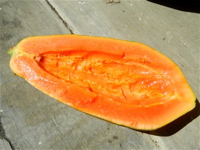 Pineapple textures Nuestra Señora del Carmen RRCG Transport Dela Rosa Transit Jollibee products Carica papaya Salt (Note: Judge Florentino Floro, the owner, to repeat, Donor Florentino Floro of all th