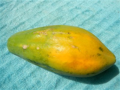 Chrysophyllum cainito (fruit) Saba banana Carica papaya in the Philippines Carabao (mango) taken in Barangay Poblacion 14°57'17"N 120°54'2"E Baliuag, Bulacan, Bulacan province (Note: Judge Florentino 