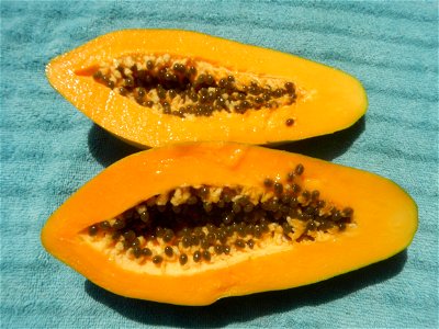 Chrysophyllum cainito (fruit) Saba banana Carica papaya in the Philippines Carabao (mango) taken in Barangay Poblacion 14°57'17"N 120°54'2"E Baliuag, Bulacan, Bulacan province (Note: Judge Florentino 