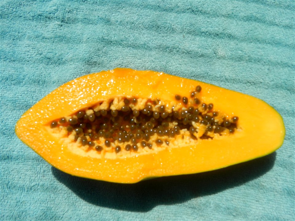 Chrysophyllum cainito (fruit) Saba banana Carica papaya in the Philippines Carabao (mango) taken in Barangay Poblacion 14°57'17"N 120°54'2"E Baliuag, Bulacan, Bulacan province (Note: Judge Florentino 