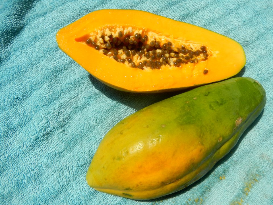 Chrysophyllum cainito (fruit) Saba banana Carica papaya in the Philippines Carabao (mango) taken in Barangay Poblacion 14°57'17"N 120°54'2"E Baliuag, Bulacan, Bulacan province (Note: Judge Florentino 