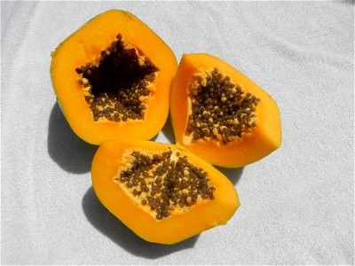 Ginisang Upo and Carica papaya (Note: Judge Florentino Floro, the owner, to repeat, Donor Florentino Floro of all these photos hereby donate gratuitously, freely and unconditionally all these photos t