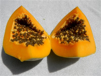 Ginisang Upo and Carica papaya (Note: Judge Florentino Floro, the owner, to repeat, Donor Florentino Floro of all these photos hereby donate gratuitously, freely and unconditionally all these photos t