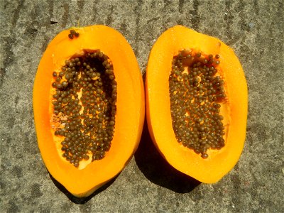 Foods fruits in Bulacan in Barangay Poblacion 14°57'17"N 120°54'2"E Baliuag, Bulacan, Bulacan province (Note: Judge Florentino Floro, the owner, to repeat, Donor Florentino Floro of all these photos h