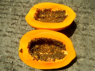 Foods fruits in Bulacan in Barangay Poblacion 14°57'17"N 120°54'2"E Baliuag, Bulacan, Bulacan province (Note: Judge Florentino Floro, the owner, to repeat, Donor Florentino Floro of all these photos h
