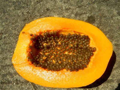 Foods fruits in Bulacan in Barangay Poblacion 14°57'17"N 120°54'2"E Baliuag, Bulacan, Bulacan province (Note: Judge Florentino Floro, the owner, to repeat, Donor Florentino Floro of all these photos h