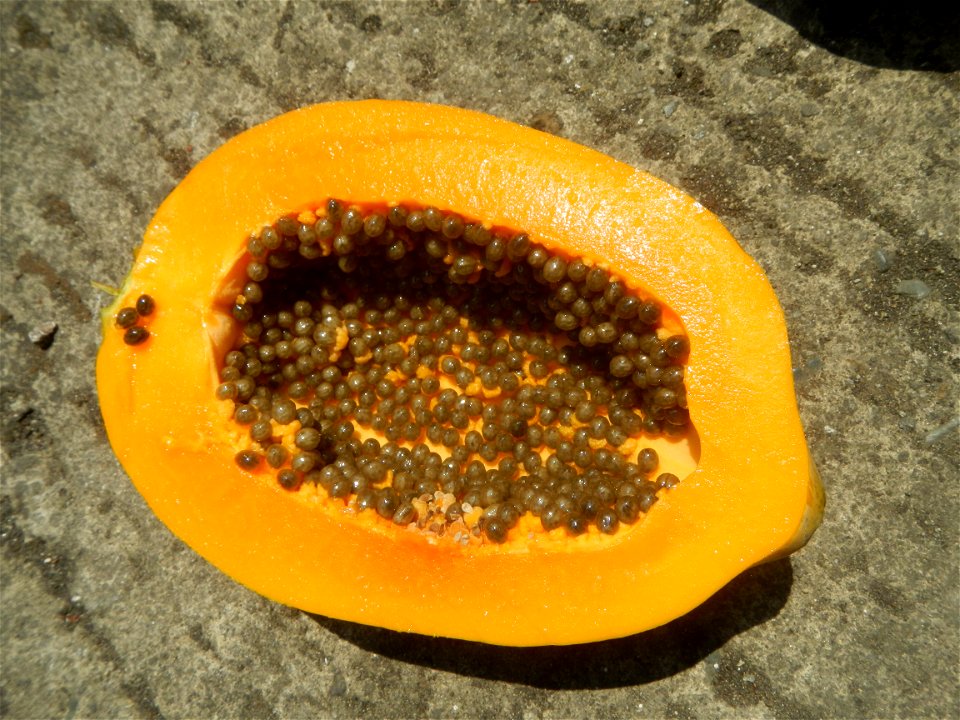 Foods fruits in Bulacan in Barangay Poblacion 14°57'17"N 120°54'2"E Baliuag, Bulacan, Bulacan province (Note: Judge Florentino Floro, the owner, to repeat, Donor Florentino Floro of all these photos h