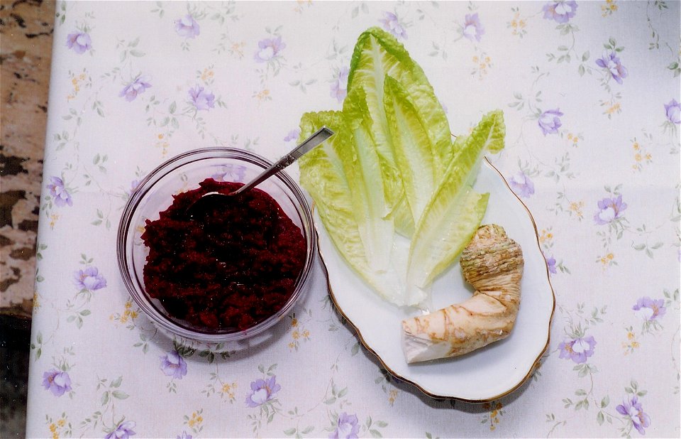 Photo of 3 types of maror used at the Passover Seder. Left to right: grated horseradish mixed with cooked beets and sugar (known as chrein in Yiddish), endive lettuce leaf, whole horseradish root. Pho