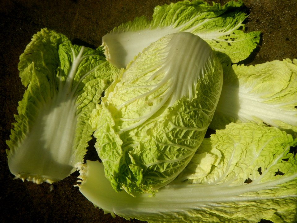 Home cooking of nappa cabbage and potatoes omelette during the COVID-19 pandemic in Baliuag, Bulacan Timeline of the 2020 coronavirus pandemic in the Philippines  2020 coronavirus pandemic in the Phil