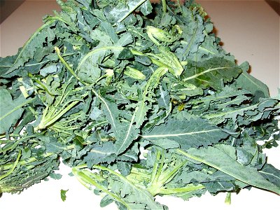 Broccolo fiolaro is a cultivar of Brassica oleracea cultivated in the Creazzo region of the Province of Vicenza.