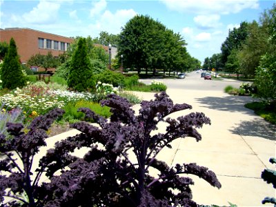 The Ohio State University Columbus, Ohio photo