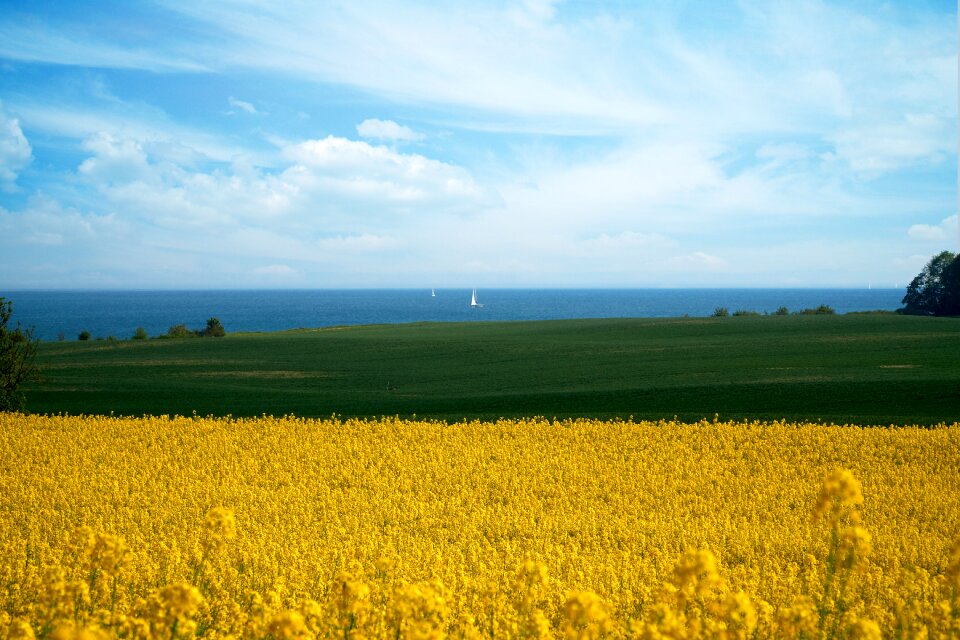 Baltic sea nature sky