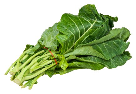 A bundle of collard greens, from an organic food co-op. photo