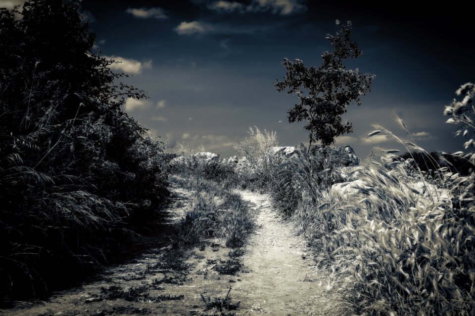 Mood mysterious dark