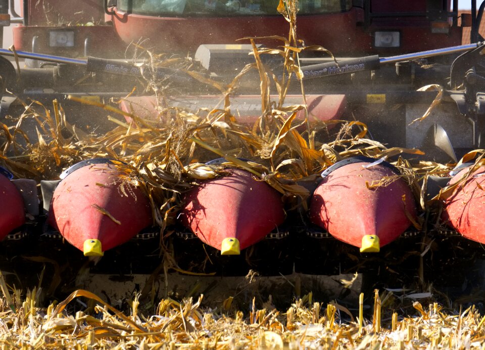 Nature vegetables agriculture