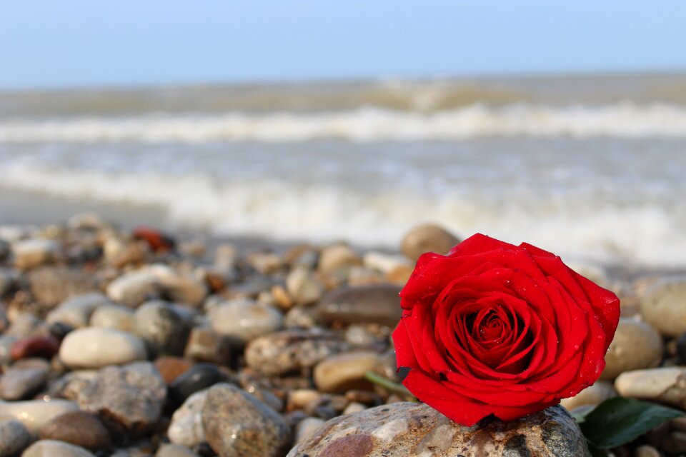 Beach romance romantic