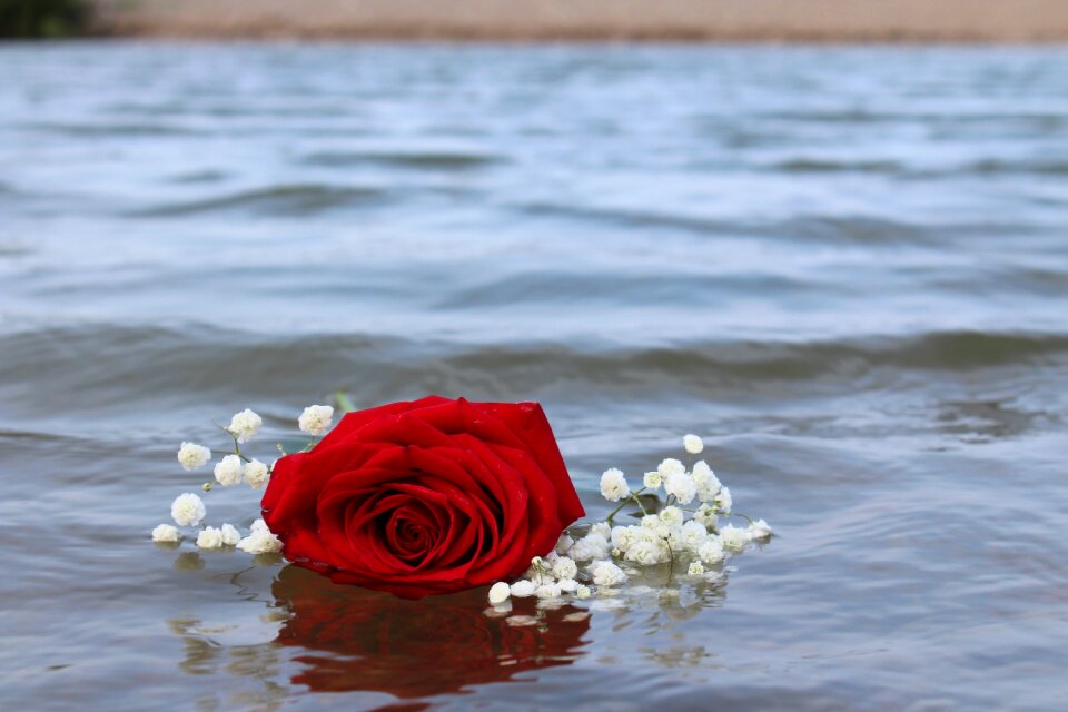 Water romantic romance