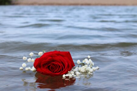 Water romantic romance