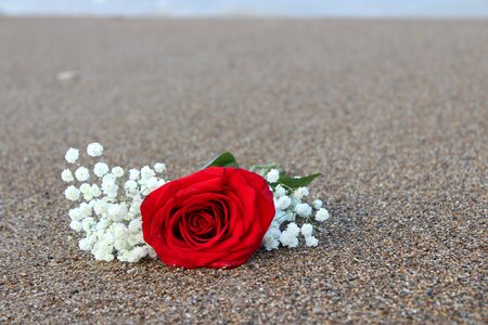 Beach romantic romance