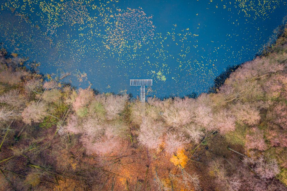 Autumn lake foliage