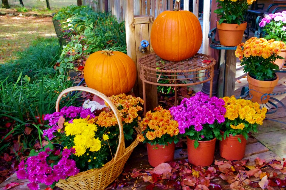 Fall pot halloween