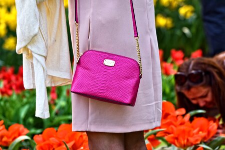 Purse accessory elegant