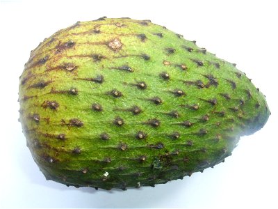 Annona muricata, bought at the Binnenrotte market in Rotterdam, The Netherlands