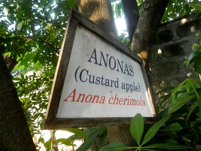 Aven's Nature Farm Artemio G. Veneracion President of ARaMP, Inc. in Barangays Santa Barbara, 14°56'21"N 120°53'25"E Baliuag, Bulacan, Bulacan (Note: Judge Florentino Floro, the owner, to repeat, Dono