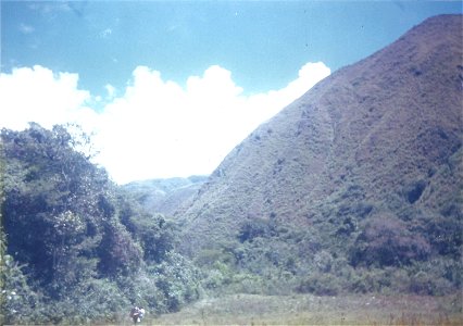 Area of occurrence of wild cherimoyas (Annona cherimola Mill.) in Vilcabamba, Ecuador
