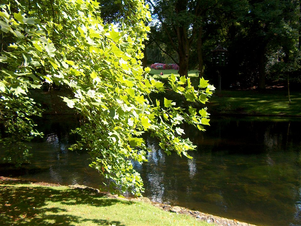 Le parc Josaphat à Schaerbeek, Bruxelles, Belgique.