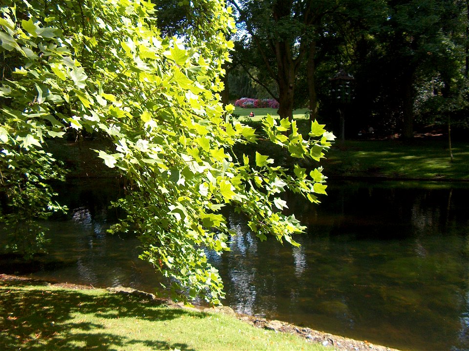 Le parc Josaphat à Schaerbeek, Bruxelles, Belgique. photo